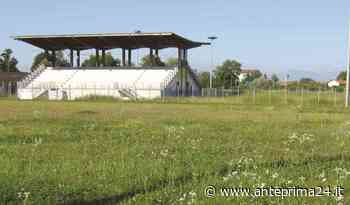 "A che altezza arriverà l'erba del campo?", il calcio dilettantistico ripartirà... - anteprima24.it