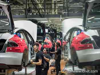 Tesla plant to reportedly stay open despite coronavirus shelter-in-place guidance     - CNET