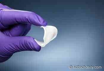 New “Human Tissue Replacement” Created Using Nanostructured Rubber-Like Material