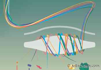 Individual Ion Mass Spectrometry: Powerful New Way to Probe Single Molecules