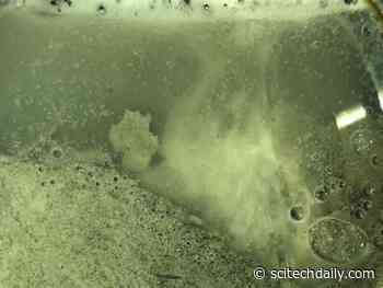 Mystery Solved: How Gas Bubbles Build Big Methane Hydrate Deposits