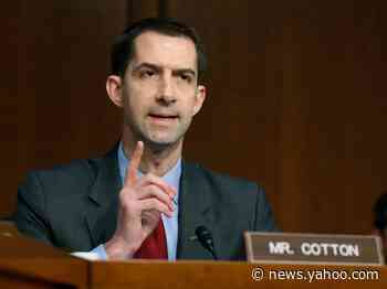 Tom Cotton is calling for Americans to get cash payments through the coronavirus outbreak