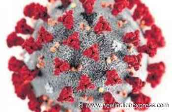 Now, coaching centres and routine training programmes to go online - The New Indian Express