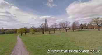 Brent Council responds to Parks for London report