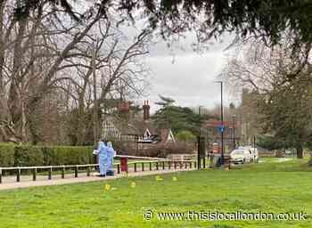 Two men arrested after man allegedly raped in Beddington Park