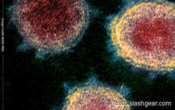 Coronavirus COVID-19 Resources: What should I do? Who do I trust?