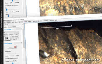 Dead Sea Scrolls revealed forgeries: The rest?