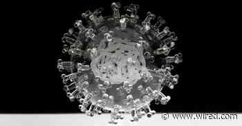 You Can Get Up Close to This Coronavirus—It's Made of Glass