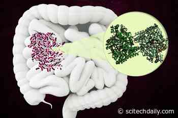 Unusual Bacterial Enzyme Discovered That Could Become a New Target for Antibiotics