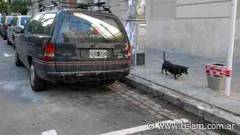 Rige el libre estacionamiento y circulación en la Ciudad de Buenos Aires - Télam