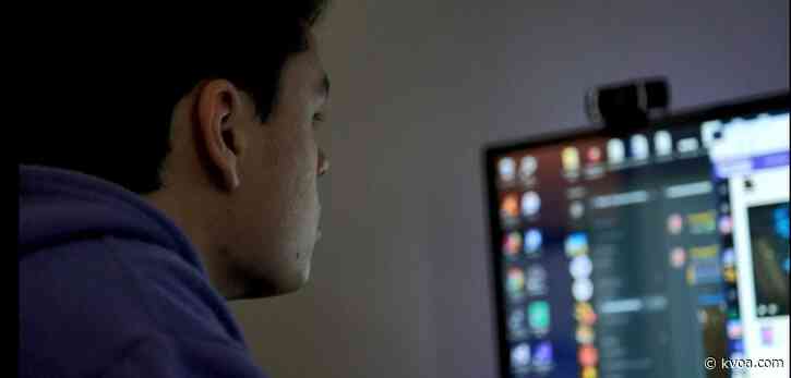 Working from home during the coronavirus