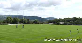 What Wales' top rugby players are now doing as coronavirus shuts down training and playing - Wales Online