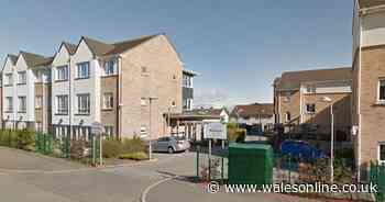 Resident at Cardiff care home in hospital with coronavirus - Wales Online