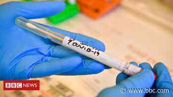 Coronavirus cases in Wales: Where are the confirmed cases? - BBC News