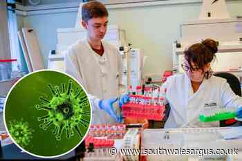 34 new cases of coronavirus in Wales and NHS Wales switches to 'delay' phase - South Wales Argus