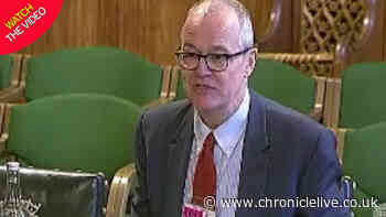 Chief scientist predicts be up to 20,000 deaths from coronavirus