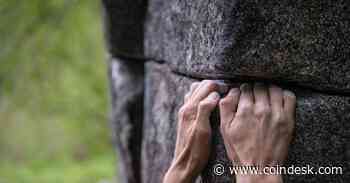 Record Bitcoin Price Volatility Fails to Unnerve HODLers