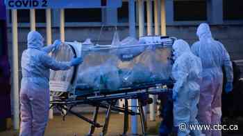 'An epidemiological mystery': Why Is COVID-19 so much deadlier in some countries than others?