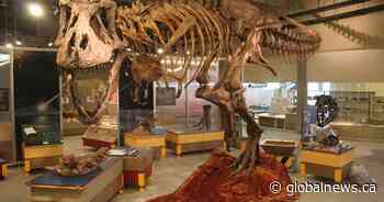 Royal Saskatchewan Museum temporarily closing its doors