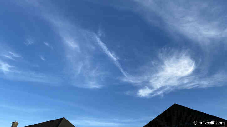 Was vom Tage übrig blieb: Drogenbarone, DJ-Sets und Desinformation