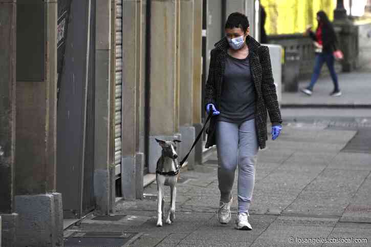 LA, Burbank Close Animal Shelters Due To Coronavirus Outbreak