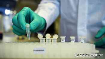 Was bei CureVac nach Trumps Avancen passierte, wirft Fragen auf