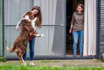 Coronacrisis haalt beste in Nederlanders naar boven
