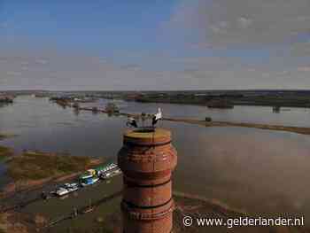 Ooievaars ‘genieten’ van uitzicht over de Rijn