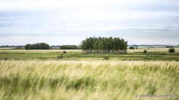 Alberta to sell Crown-owned grassland near Taber despite promise not to