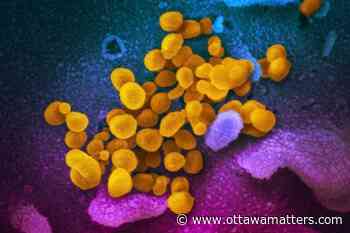 Ottawa COVID-19 count climbs to 13 with three new cases confirmed - OttawaMatters.com