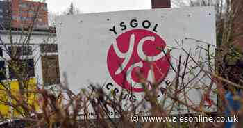 Two special schools close with immediate effect due to coronavirus