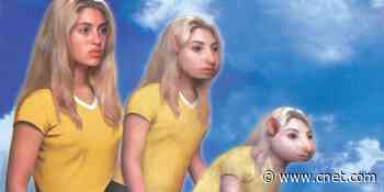 Read Animorphs books for free for kids shapeshifting into rats and cats     - CNET