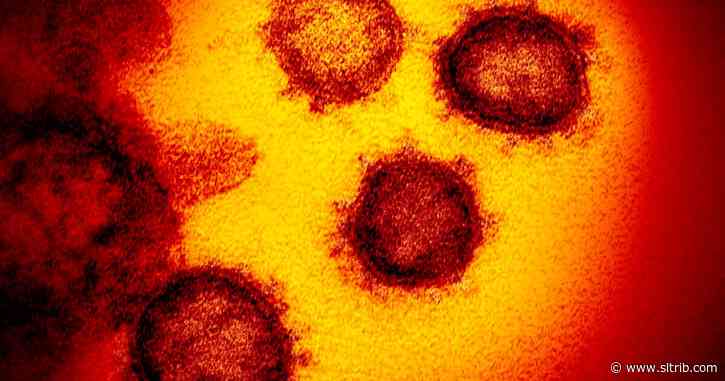 Live coronavirus updates for Tuesday, March 17: Utah’s case count up to 51, and Smith’s offers special shopping hours for seniors
