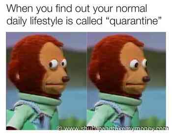 When You Find Out Your Normal Daily Lifestyle Is Called Quarantine – Coronavirus Meme