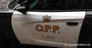 Arrest made in hit-and-run collision involving boy in Madoc: Central Hastings OPP - Global News