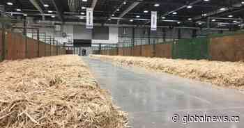 Coronavirus: Canadian Western Agribition postpones 2 upcoming events in Regina