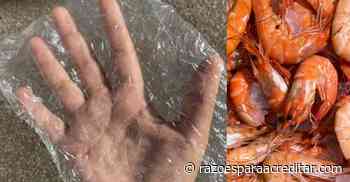 Jovem transforma casca de camarão em bioplástico 100% degradável - Razões para Acreditar