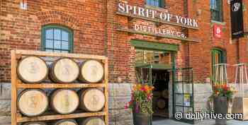 Toronto distillery to produce hand sanitizer instead of booze for local residents | News - Daily Hive