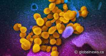 Coronavirus: 2 Global News employees in Toronto test positive for COVID-19 - Global News