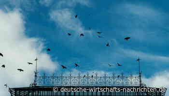 Blauer Himmel, weißer Qualm: Impressionen aus einer Stadt im Ausnahmezustand