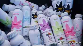 Five Question Deep Dive Into Eric Schnell: CBD Beverage Entrepreneur Extraordinaire - Forbes