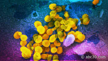 Global confirmed coronavirus cases top 200,000 as US deaths reach 110