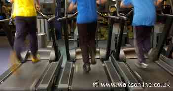 The measures taken by Welsh gyms to deal with the coronavirus pandemic
