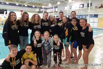 Orillia Channel Cat swimmers make a splash at Barrie meet - OrilliaMatters
