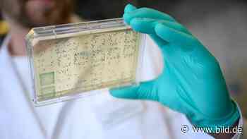 Coronavirus: Impfstoff-Testphase im Frühsommer: Diese Nachricht macht uns Hoffnung - BILD