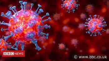 Coronavirus explained in 60 seconds