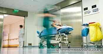 Intensive care beds in Welsh hospitals set to double