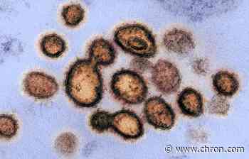 Laredo City Council approves mandatory coronavirus lockdown