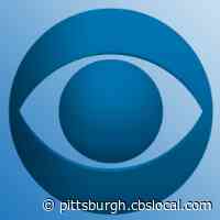 Allegheny Co. Health Dept.: 1 New Case Confirmed, Additional Presumptive Case Announced
