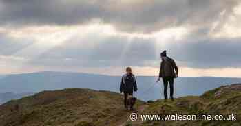 National Trust opens up parks and coastal areas free